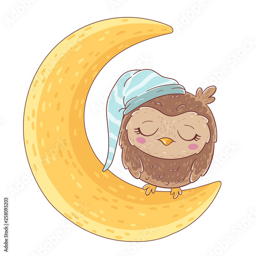 Cute owl sleep on the moon