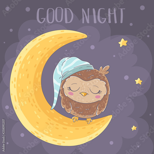 Cute owl sleep on the moon