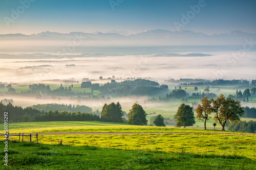 View from Mt. Auerberg at sunrise, Valley full of Fog, the Alps behind, Bavaria, Germany photo