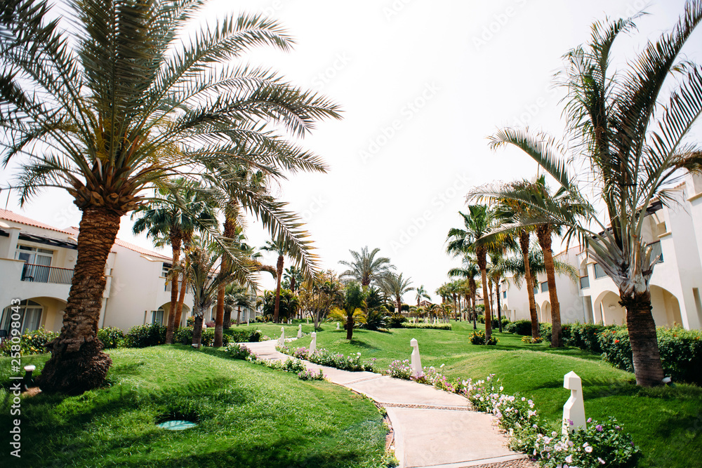 Green territory of luxury resort hotel with lawn, palms and buildings in Egypt, Sharm el Sheikh. Travel and vacation concept.