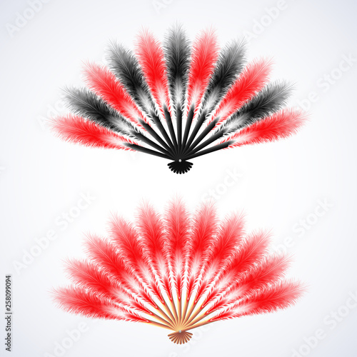 Red and black  feathers fan isolated on white background, vector illustration