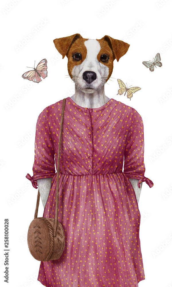 Jack russell top dressed up
