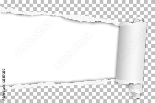 Torn elongated hole from left to right in transparent sheet of paper with paper curl and white resulting background. Vector template design. Paper mockup.
