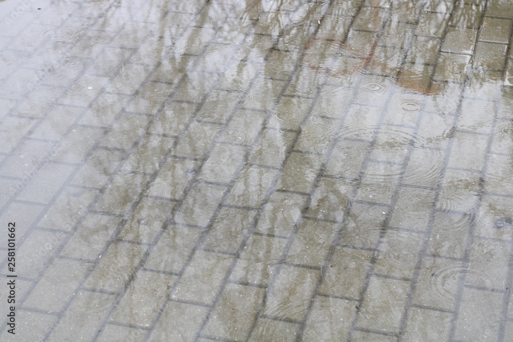 Fototapeta premium background rain paving slabs puddles