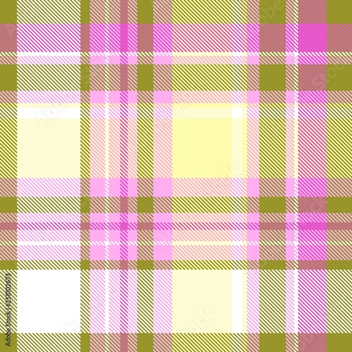 Tartan, plaid pattern seamless vector illustration. Checkered texture for clothing fabric prints, web design, home textile.