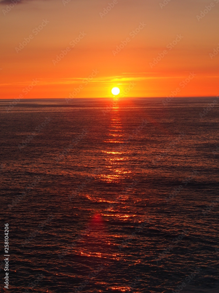 Obraz premium OLYMPUS DIGITAL CAMERA