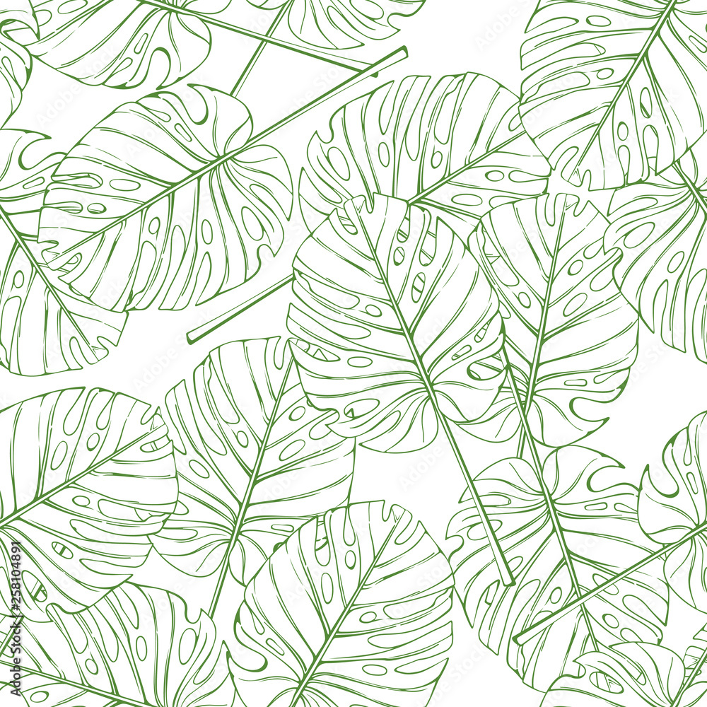 Tropical leaves seamless pattern. Vector palm monstera branch on white background.