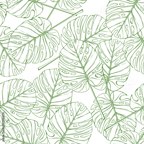 Tropical leaves seamless pattern. Vector palm monstera branch on white background.