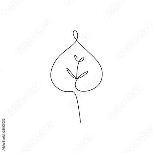 drawing continuous lines of leaves with simple lines.