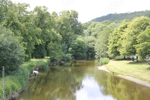 river in the forest