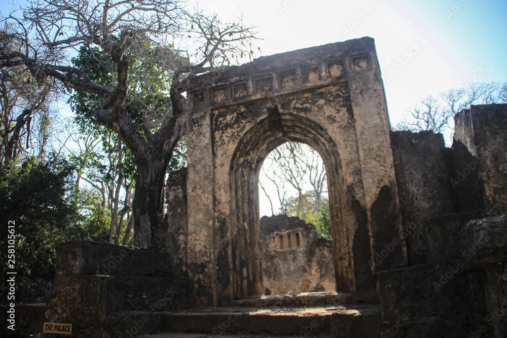 Fototapeta premium The ancient abandoned Arab city of Gede, near Malindi, Kenya. Classical Swahili architecture. They include a mosque, palace, houses and tombs as well as a fort
