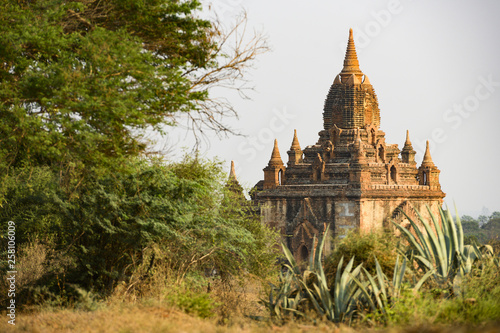 View of one of the many temples in Bagan (formerly Pagan) during sunset. A green vegetation surround this beautiful Buddhist Temple. The Bagan Archaeological Zone is a main attraction in Myanmar.