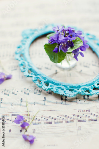 Violets flowers and vintage blue frame