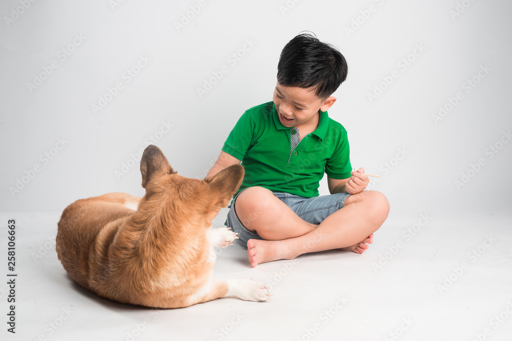 Obraz premium Cute little boy playing with dog at home