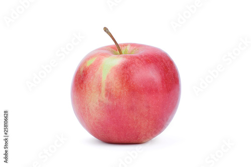 Apple Isolated on White Background.