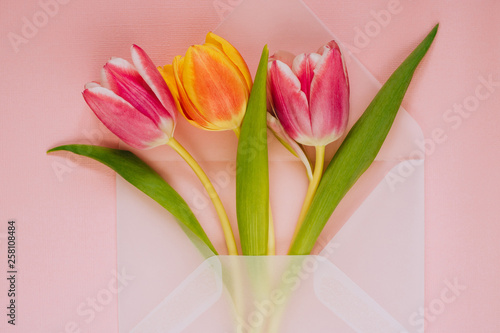 Fototapeta Naklejka Na Ścianę i Meble -  Open matte transparent envelope with multicolored tulips on pink background. Easter concept, flat lay, copy space.