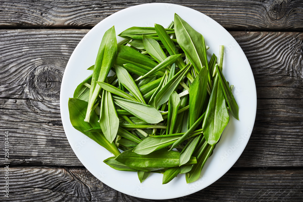 Ramsons, wild garlic, Siberian onion on a plate Ramsons, wild garlic, Siberian onion on a plate