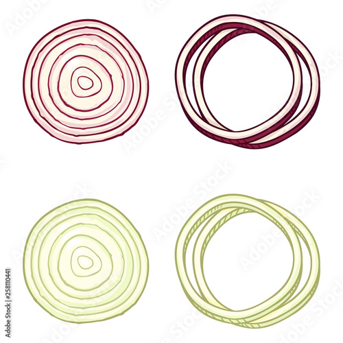 Vector Cartoon White and Red Onion Round Slices