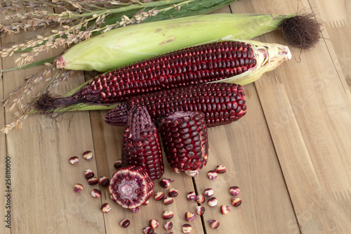 Red sweet corn isolated on wood background, Siam Ruby Qreen corn photo