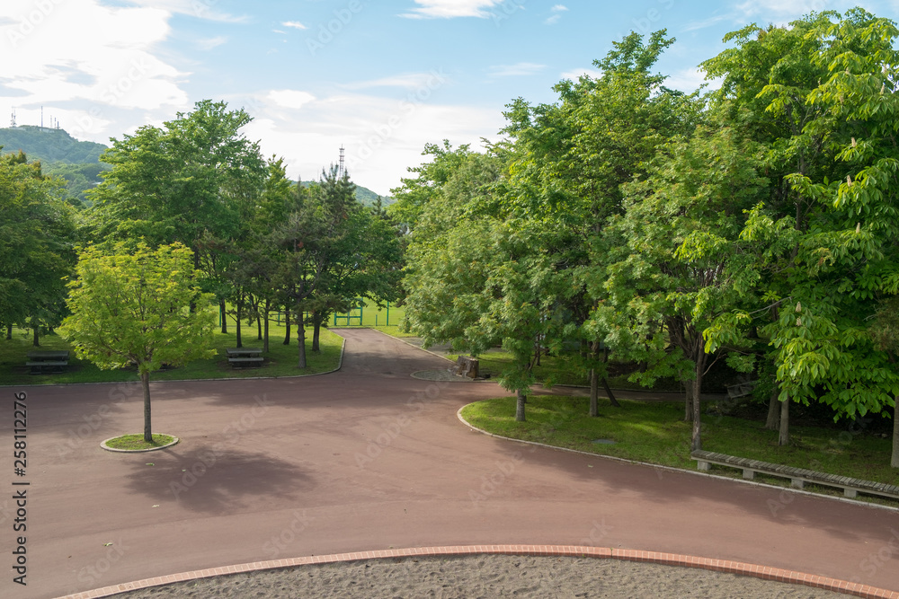 公園の風景