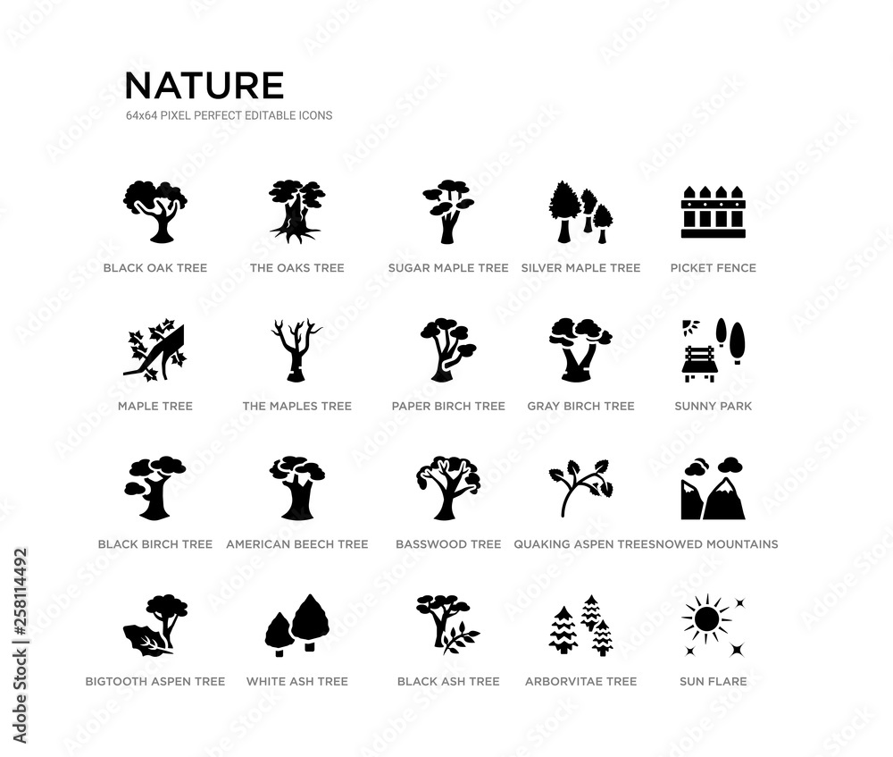 set of 20 black filled vector icons such as sun flare, snowed mountains, sunny park, picket fence, arborvitae tree, black ash tree, maple tree, silver maple sugar maple the oaks nature black icons