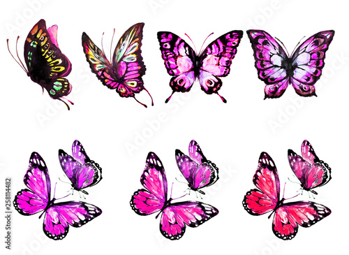 beautiful color butterfly,watercolor,isolated on a white background