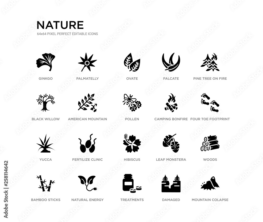 set of 20 black filled vector icons such as mountain colapse, woods, four toe footprint, pine tree on fire, damaged, treatments, black willow, falcate, ovate, palmatelly. nature black icons set of 20 black filled vector icons such as mountain colapse, woods, four toe footprint, pine tree on fire, damaged, treatments, black willow, falcate, ovate, palmatelly. nature black icons