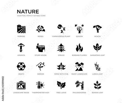 set of 20 black filled vector icons such as rowan leaf, larch leaf, sassafras leaf, acacia, philodendron, tree leave, amanita, season, carnivorous plant, roses. nature black icons collection.