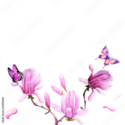 magnolia branch, beautiful pink  flowers, flowers isolated on a white background, vintage