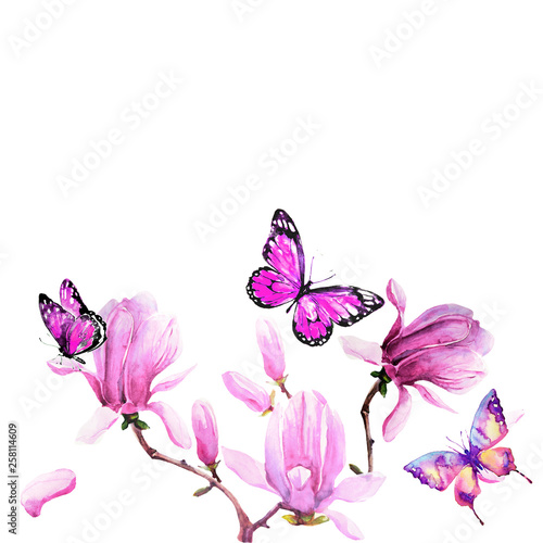 magnolia branch, beautiful pink  flowers, flowers isolated on a white background, vintage © aboard