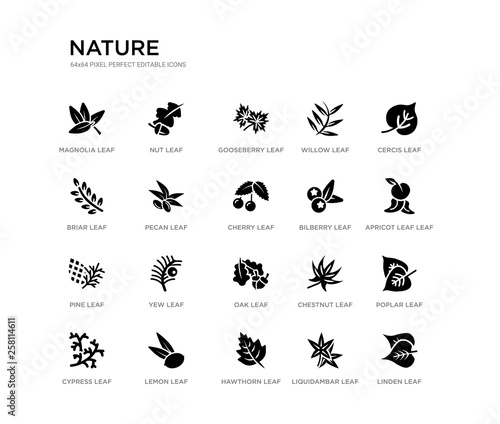 set of 20 black filled vector icons such as linden leaf, poplar leaf, apricot leaf cercis liquidambar hawthorn briar willow gooseberry nut nature black icons collection. editable pixel perfect
