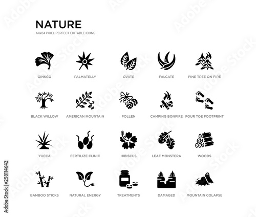 set of 20 black filled vector icons such as mountain colapse, woods, four toe footprint, pine tree on fire, damaged, treatments, black willow, falcate, ovate, palmatelly. nature black icons © Meth Mehr