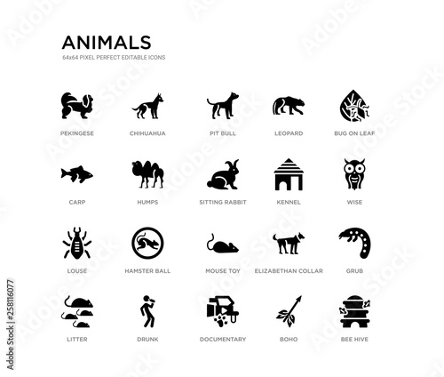 set of 20 black filled vector icons such as bee hive, grub, wise, bug on leaf, boho, documentary, carp, leopard, pit bull, chihuahua. animals black icons collection. editable pixel perfect © Meth Mehr