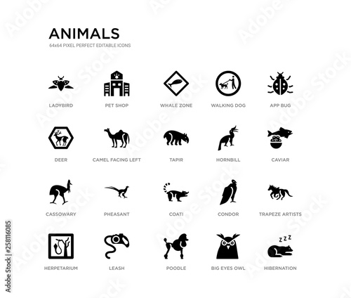 set of 20 black filled vector icons such as hibernation, trapeze artists, caviar, app bug, big eyes owl, poodle, deer, walking dog, whale zone, pet shop. animals black icons collection. editable © Meth Mehr