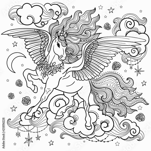 Beautiful unicorn with a long mane. Black and White. For coloring. For the design of graphic prints, illustrations.Vector