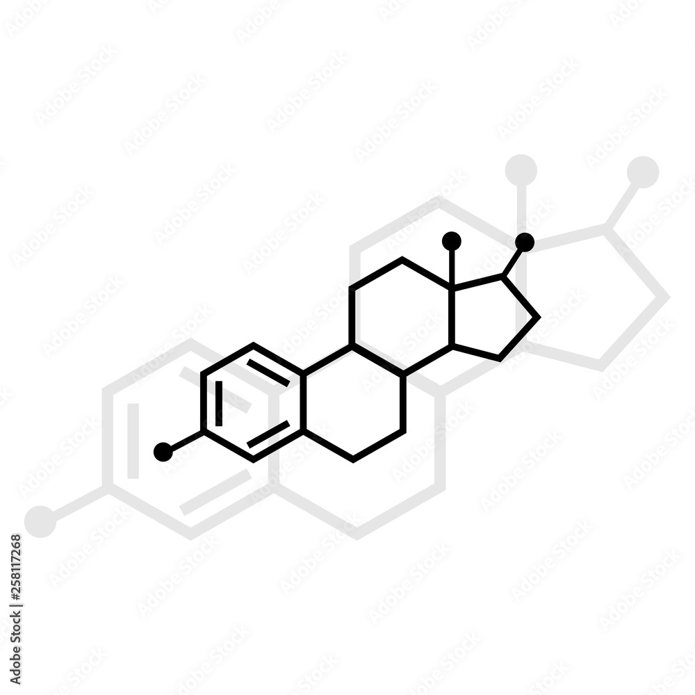 molecular structure of estradiol