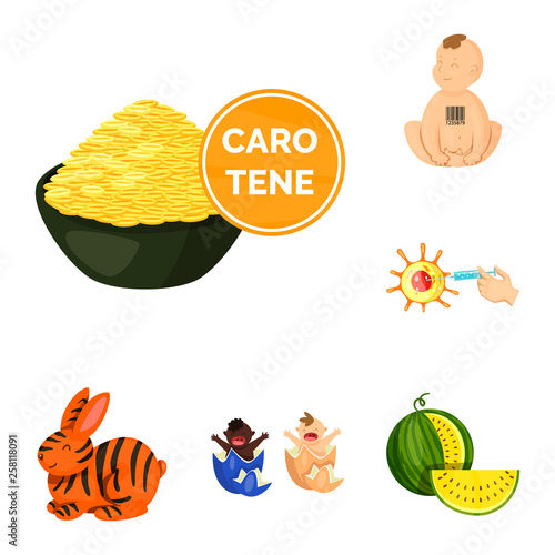 Vector illustration of modified and genetically icon. Collection of modified and science stock vector illustration.