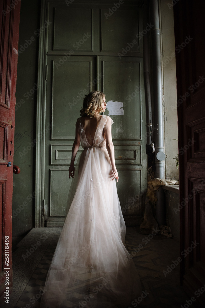Young woman posing in a pink long dress backs indoors Young woman posing in a pink long dress backs indoors