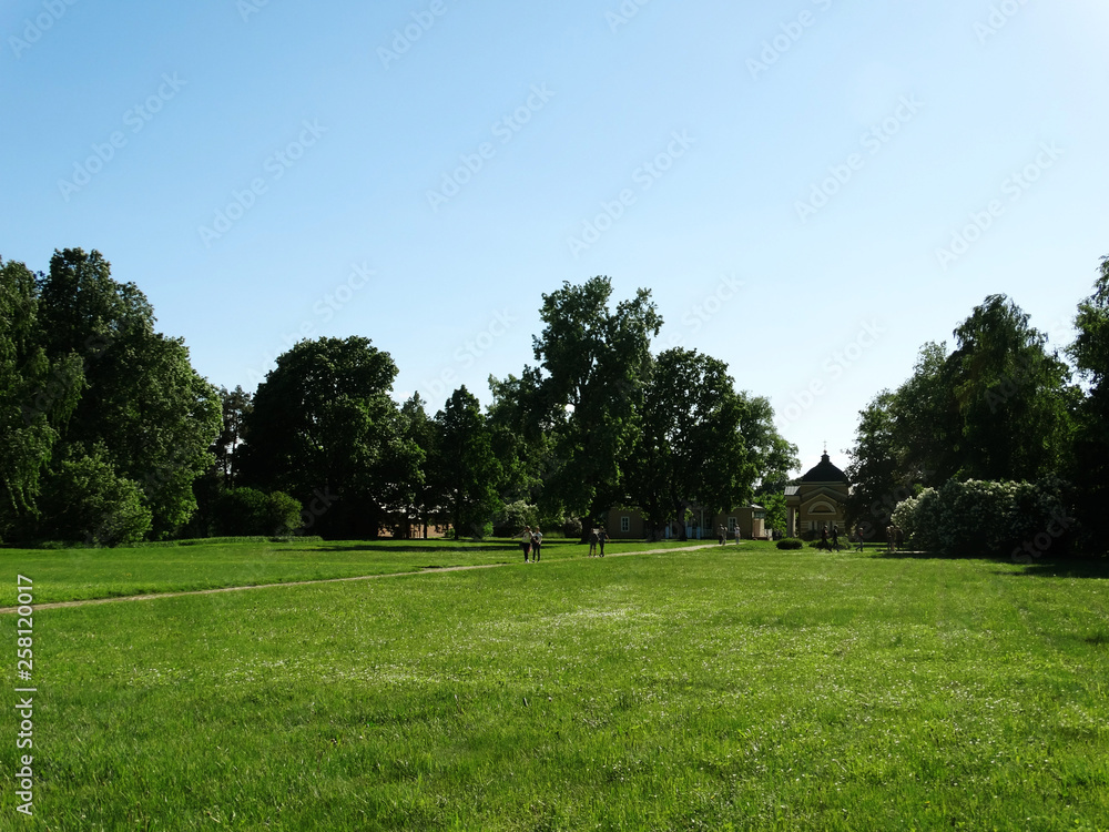 park in spring