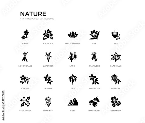 set of 20 black filled vector icons such as geranium, gerbera, gladiolus, tea, hawthorn, hills, lemongrass, lily, lotus flower, magnolia. nature black icons collection. editable pixel perfect © Meth Mehr