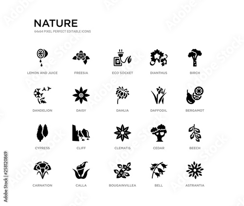 set of 20 black filled vector icons such as astrantia, beech, bergamot, birch, bell, bougainvillea, dandelion, dianthus, eco socket, freesia. nature black icons collection. editable pixel perfect © Meth Mehr