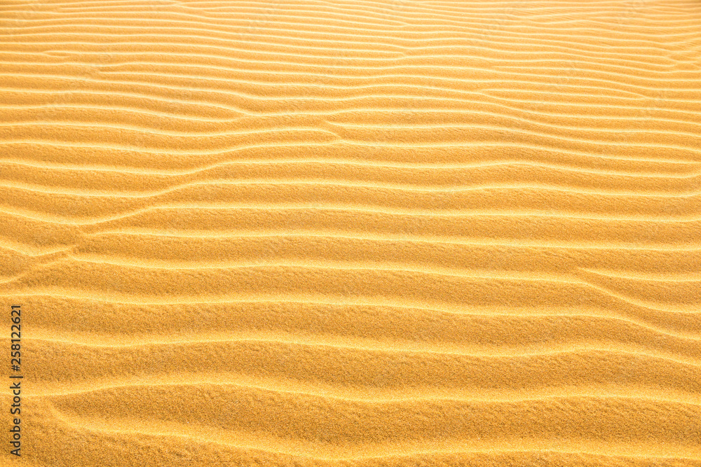 Fototapeta Texture of yellow desert sand dunes. Can be used as natural background