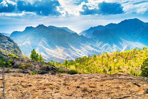 Beautiful nature mountain landscape of Canary Island with green pine trees