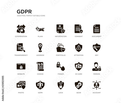 set of 20 black filled vector icons such as account, person, key, document, gear, lock, transparency, consent, information, plain. gdpr black icons collection. editable pixel perfect