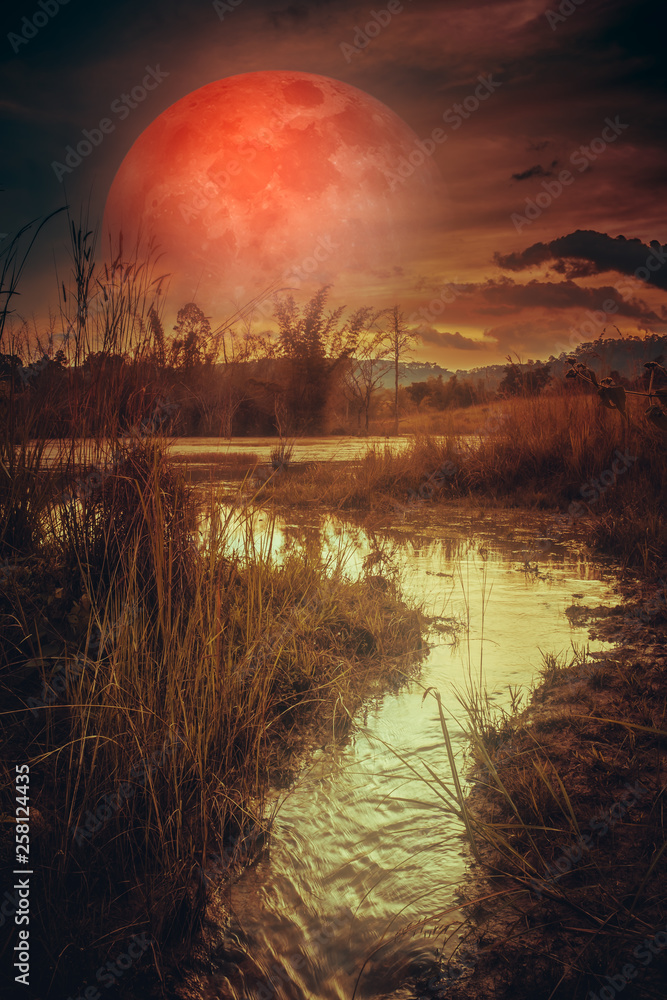 Landscape at night time in the forest lake with fogy and darkness sky super blood moon.