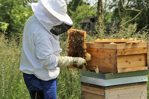 Imker arbeitet an seinem Bienenstock © U. J. Alexander
