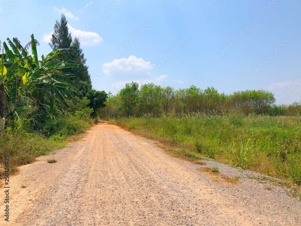 Dirt road along the field in countryside