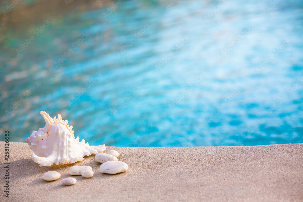 Shell and stone spa on swimming pool in report, Vacation background Shell and stone spa on swimming pool in report, Vacation background