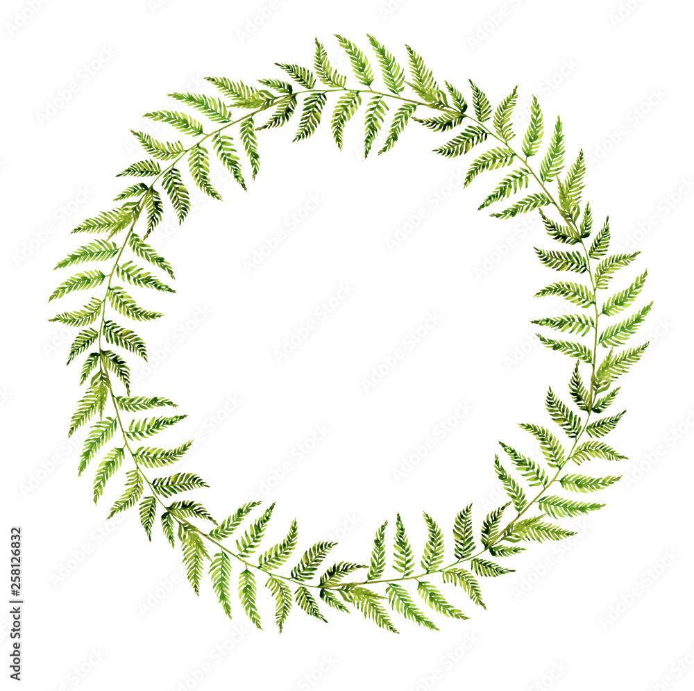 Fern leaf painted with watercolor on a white background. Forest herbs. Green forest branches. Fern leaf painted with watercolor on a white background. Forest herbs. Green forest branches.