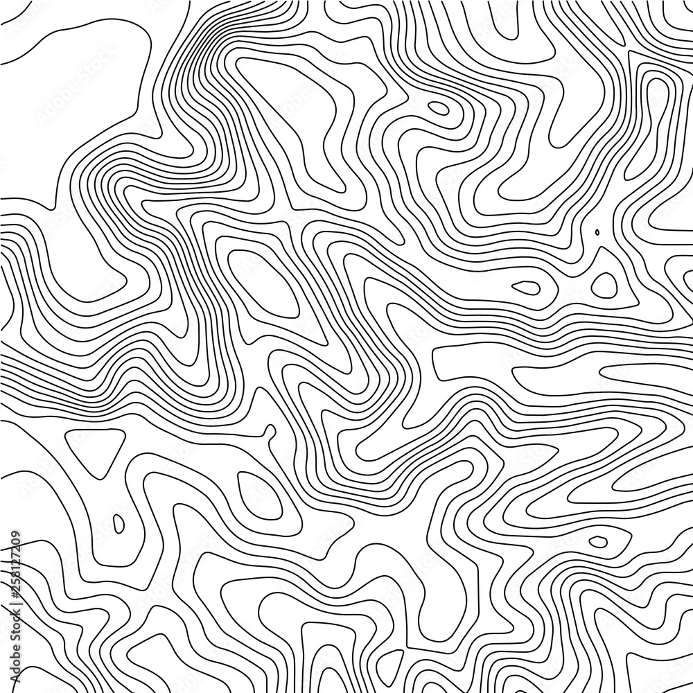 Topographic map background. Geographic World Topography map grid